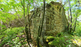 object